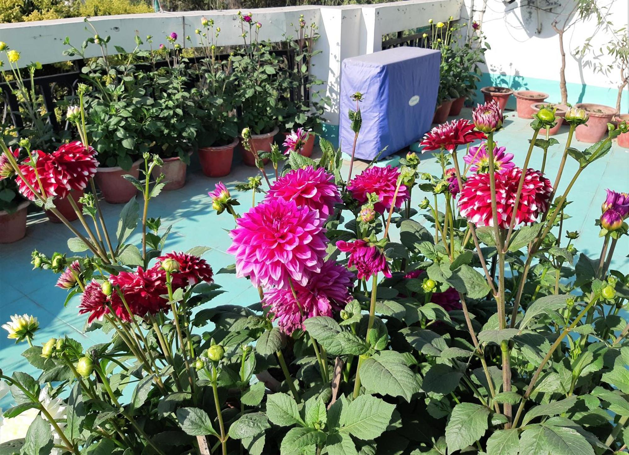 Fully Furnished Ish, Atithya Homestay With Various Amenities And Free Services In Lucknow, India المظهر الخارجي الصورة